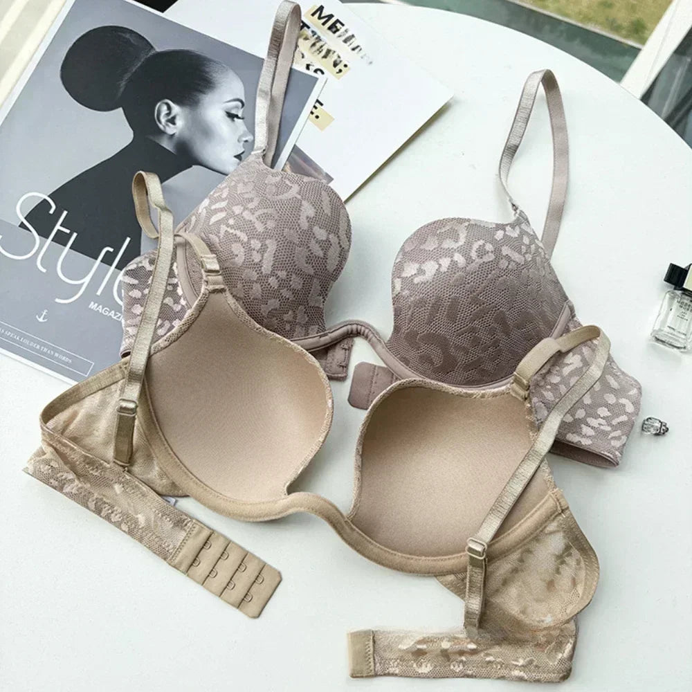 Divine Push-Up Lingerie